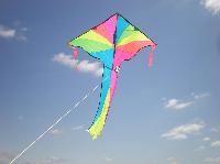 Kites