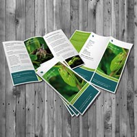 A4 Brochure Offset Printing