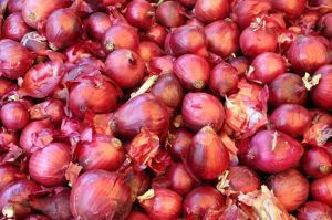 Fresh Red Onion