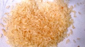 Swarna Rice