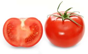 Fresh Tomato