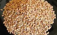 Fenugreek Seed