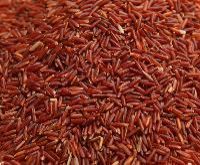 Red rice