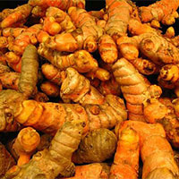 Turmeric Fingers