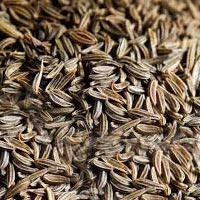 Cumin Seeds