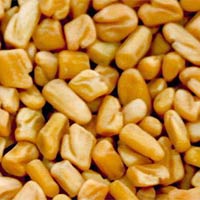 Fenugreek Seeds