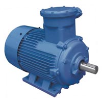 Induction Motor