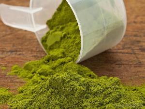 Wheat Grass Powder