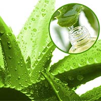 Aloe Vera Extract