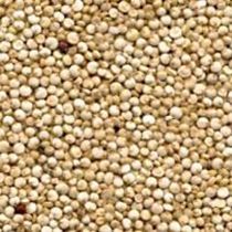 Quinoa Seeds