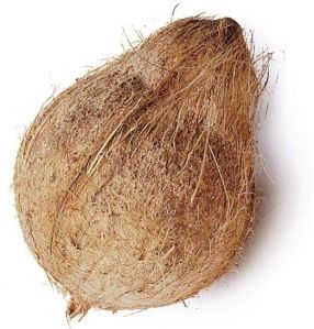 Semi Husked Coconuts