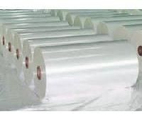 Cast Polypropylene Film