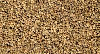 Guar Gum Seeds