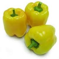 Yellow Capsicum