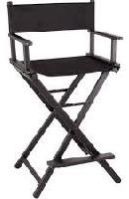 Director Chair