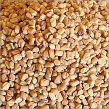 Fenugreek Seeds