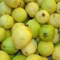 Fresh Guava