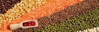 Organic Pulses