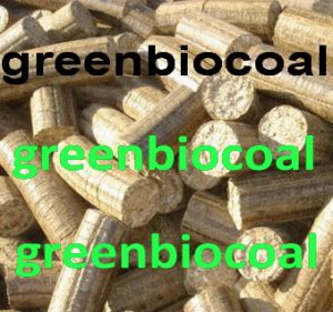 Biomass Briquettes