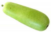 Fresh Bottle Gourd