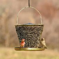 brass bird feeder