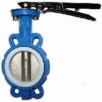 Lined Butterfly Valve