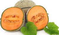 muskmelon