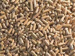 Biomass Pellets