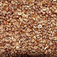 Kodo Millet Seeds