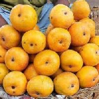 Rumani Mango