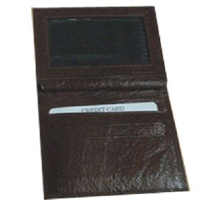 passport holder