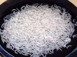 1121 Steam Basmati Rice