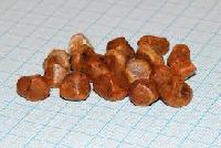 Ox Gallstones