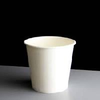 biodegradable disposable cup