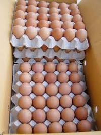 Fresh Poultry Eggs