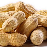 Shelled Groundnuts