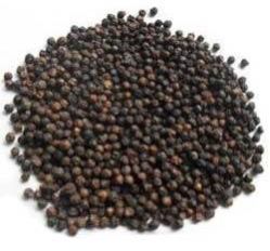 Black Pepper Seeds