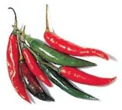 Fresh Chilli