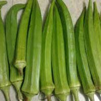 Fresh Okra