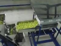 Corn snacks machine