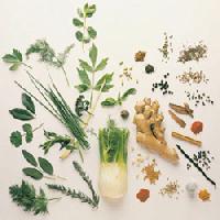 raw medicinal herbs