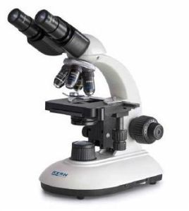 Compound Microscope