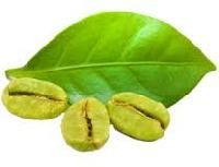 Green Coffee Extract