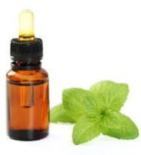 Aromatherapy Essential Oils