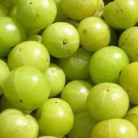 Fresh Amla