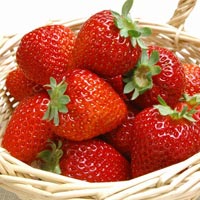 Fresh Strawberry