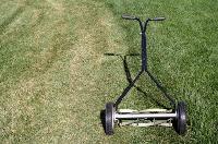 Reel Mower