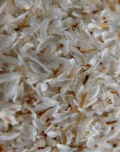 Psyllium