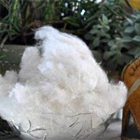 Silk Noil Fiber