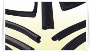 Co-Extruded Rubber Profiles